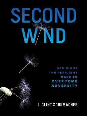 cover image of Second Wind